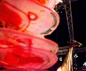 Impression KOÌRPERWELTEN der Tiere 2014 aus Ludwigsburg