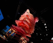 Impression KOÌRPERWELTEN der Tiere 2014 aus Ludwigsburg