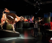 Impression KOÌRPERWELTEN der Tiere 2014 aus Ludwigsburg