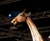 Impression KOÌRPERWELTEN der Tiere 2014 aus Ludwigsburg