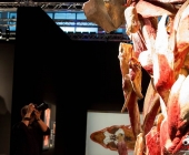 Impression KOÌRPERWELTEN der Tiere 2014 aus Ludwigsburg