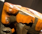 Impression KOÌRPERWELTEN der Tiere 2014 aus Ludwigsburg