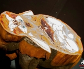 Impression KOÌRPERWELTEN der Tiere 2014 aus Ludwigsburg