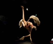 Impression KOÌRPERWELTEN der Tiere 2014 aus Ludwigsburg