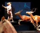 Impression KOÌRPERWELTEN der Tiere 2014 aus Ludwigsburg