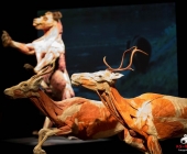 Impression KOÌRPERWELTEN der Tiere 2014 aus Ludwigsburg