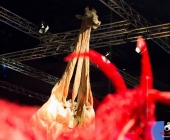 Impression KOÌRPERWELTEN der Tiere 2014 aus Ludwigsburg