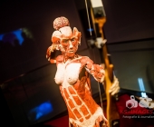 Anatomie des Glücks - Impressionen Körperwelten-Museum