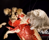 Anatomie des Glücks - Impressionen Körperwelten-Museum