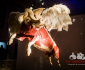 Anatomie des Glücks - Impressionen Körperwelten-Museum