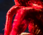 Anatomie des Glücks - Impressionen Körperwelten-Museum