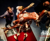 Anatomie des Glücks - Impressionen Körperwelten-Museum