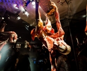 Anatomie des Glücks - Impressionen Körperwelten-Museum