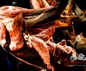 Anatomie des Glücks - Impressionen Körperwelten-Museum