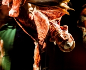 Anatomie des Glücks - Impressionen Körperwelten-Museum
