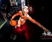 Anatomie des Glücks - Impressionen Körperwelten-Museum