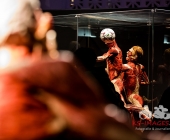 Anatomie des Glücks - Impressionen Körperwelten-Museum