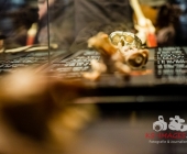 Anatomie des Glücks - Impressionen Körperwelten-Museum