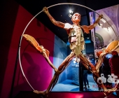 Anatomie des Glücks - Impressionen Körperwelten-Museum
