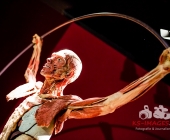 Anatomie des Glücks - Impressionen Körperwelten-Museum