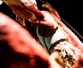 Anatomie des Glücks - Impressionen Körperwelten-Museum