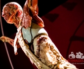 Anatomie des Glücks - Impressionen Körperwelten-Museum