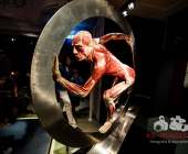 Anatomie des Glücks - Impressionen Körperwelten-Museum