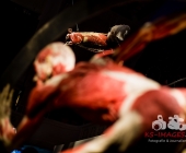 Anatomie des Glücks - Impressionen Körperwelten-Museum