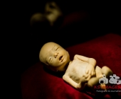 Anatomie des Glücks - Impressionen Körperwelten-Museum