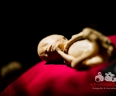 Anatomie des Glücks - Impressionen Körperwelten-Museum