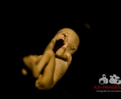 Impression KOERPERWELTEN und Der Zyklus desLebens