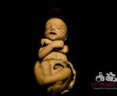 Impression KOERPERWELTEN und Der Zyklus desLebens