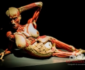 Impression KOERPERWELTEN und Der Zyklus desLebens