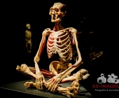 Impression KOERPERWELTEN und Der Zyklus desLebens