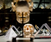 Impression KOERPERWELTEN und Der Zyklus desLebens