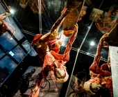 Impression KOERPERWELTEN und Der Zyklus desLebens