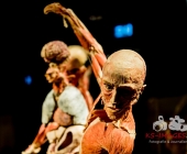 Impression KOERPERWELTEN und Der Zyklus desLebens