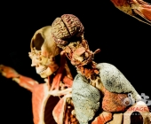 Impression KOERPERWELTEN und Der Zyklus desLebens