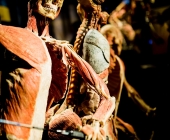 Impression KOERPERWELTEN und Der Zyklus desLebens