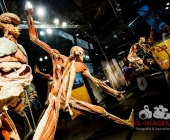 Impression KOERPERWELTEN und Der Zyklus desLebens