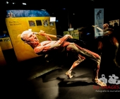 Impression KOERPERWELTEN und Der Zyklus desLebens