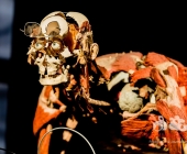 Impression KOERPERWELTEN und Der Zyklus desLebens