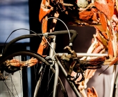 Impression KOERPERWELTEN und Der Zyklus desLebens