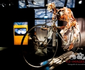 Impression KOERPERWELTEN und Der Zyklus desLebens