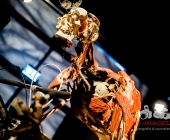 Impression KOERPERWELTEN und Der Zyklus desLebens