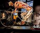 Impression KOERPERWELTEN und Der Zyklus desLebens