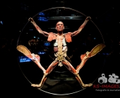 Impression KOERPERWELTEN und Der Zyklus desLebens