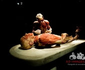 Impression KOERPERWELTEN und Der Zyklus desLebens