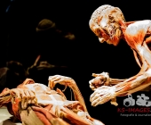 Impression KOERPERWELTEN und Der Zyklus desLebens