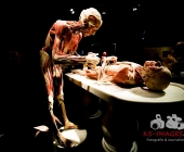 Impression KOERPERWELTEN und Der Zyklus desLebens